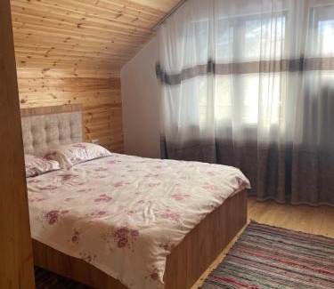 Avram Iancu House | Cabana la Pârvu