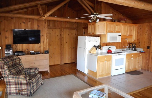 Huddleston Cabin | Cabin#3 Smith Mtn Lake. Views/Waterfront/Pet Free/No wake cove/Dock