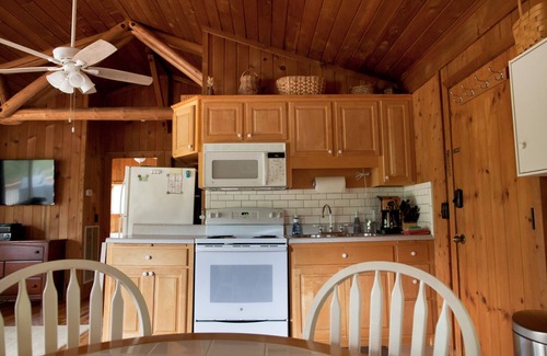 Huddleston Cabin | Cabin#3 Smith Mtn Lake. Views/Waterfront/Pet Free/No wake cove/Dock