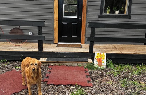 Bragg Creek Cabin | Cabin in the forest between Banff & Calgary