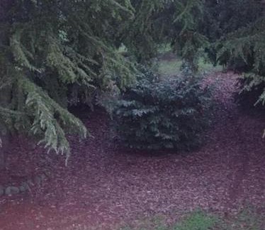 Casalgrande Bed & Breakfast | Casa della Ludo B&B