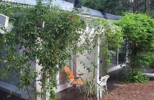 Mar Azul House | Casa luminosa en el bosque (Mar Azul)