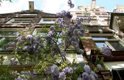 Grachtengordel-West Bed & Breakfast | Casa Luna