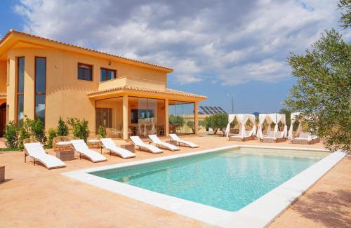 Almansa House | Casa Saladarejo de los Olivos