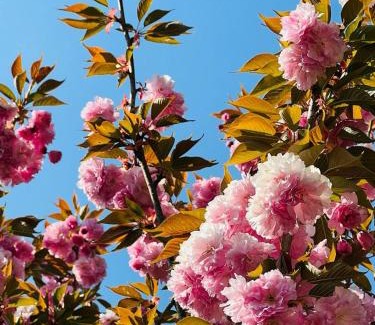 Ozzano Monferrato House | Cascina Tornara, ritorno alle origini monferrine