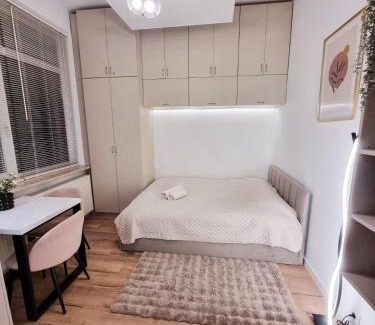 Mirow Apartment | Central Park Krochmalna Atelier, Rondo ONZ Metro