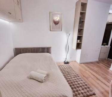 Mirow Apartment | Central Park Krochmalna Atelier, Rondo ONZ Metro