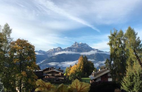 Villars-sur-Ollon Apartment | Chalet La Renarde