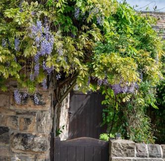 Cawthorne House | Chantry House