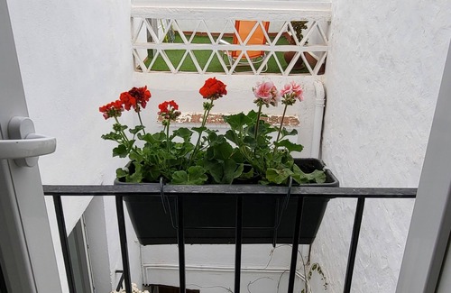 San Jorge Apartment | Charming apartment, in town, between sea and mountains. With spa area.