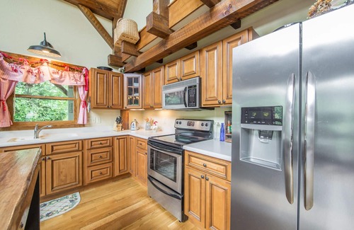 Brevard Cabin | Charming modern cabin near town and forest recreation. Storage for bikes.