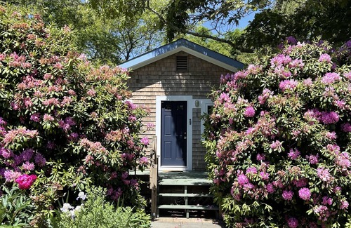 Oak Bluffs Cottage | Charming Oak Bluffs Cottage: Prime Location, Stylish Comfort & Serene Privacy