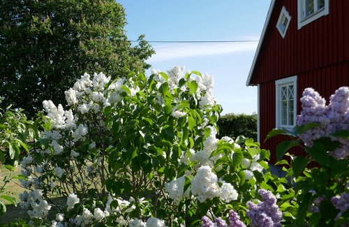 Laholm Cottage | Charming red cottage on the Swedish countryside, near the sea and forest.