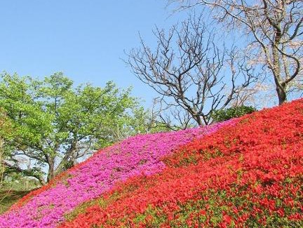 Ajiro Hotel | Chikurinan Mizuno