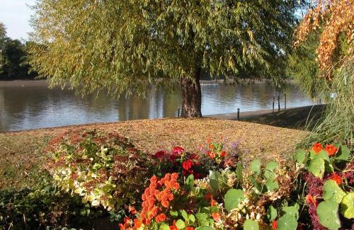Chiswick Riverside Bed & Breakfast | Chiswick Riviera with free parking