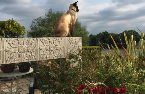 Chiswick Riverside Bed & Breakfast | Chiswick Riviera with free parking