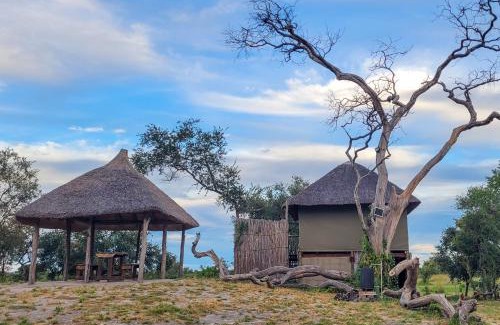 Kachikau Other | Chobe Hideaway