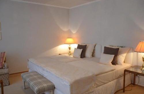 Mainz-Bingen Hotel | Christian Gartenhotel