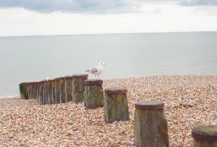 Eastbourne Seafront Hotel | Citrus Hotel Eastbourne by Compass Hospitality