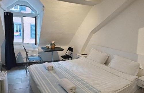 Niederdorf Apartment | City center room with private external bathroom