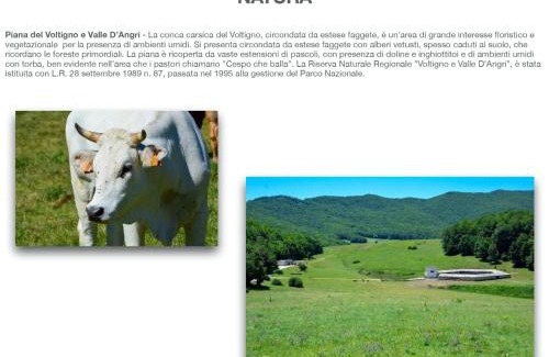 Carpineto della Nora Bed & Breakfast | Clementina B&B