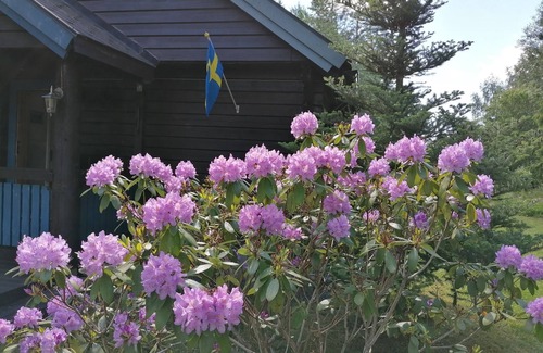 Norrtalje House | Close to nature, family-friendly holiday home with sauna and trampoline