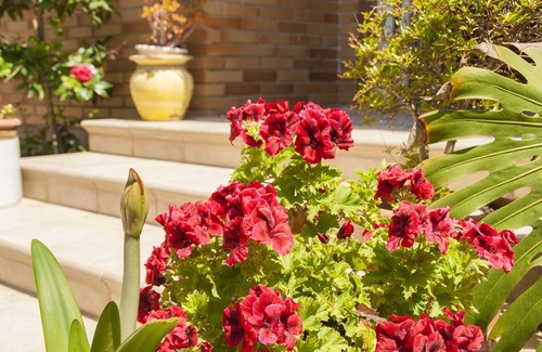 Segur de Calafell Villa | Club Villamar - Spacious villa located in the center of the town at walking distance from all ame.