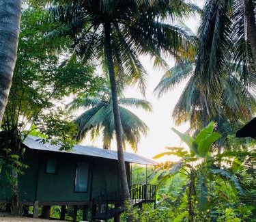 Sevanagala Other | coconut camp udawalawe