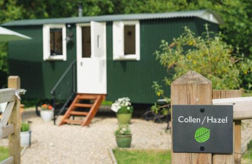 Oakford House | Collen