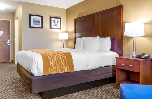 Auburn Hotel | Comfort Inn Auburn - Seattle