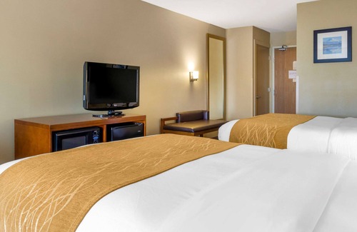 Auburn Hotel | Comfort Inn Auburn - Seattle