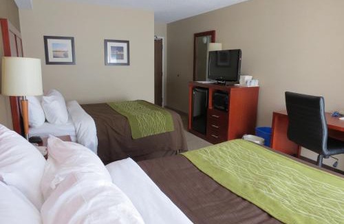 Dartmouth Hotel | Comfort Inn Dartmouth