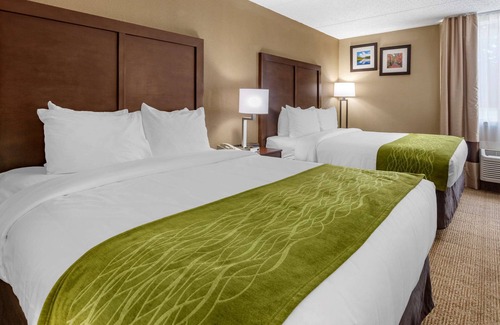 Edison Hotel | Comfort Inn Edison - New Brunswick
