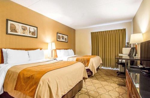 Timiskaming District Hotel | Comfort Inn Kirkland Lake