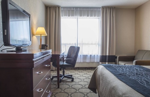 Westminster Hotel | Comfort Inn London - Wellington Road