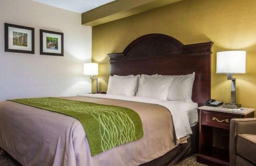 Manchester Hotel | Comfort Inn Manchester Airport