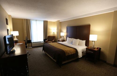 East Bloomington Hotel | Comfort Inn MSP Airport - Mall of America
