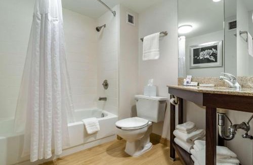 Raleigh Hotel | Comfort Inn Raleigh Midtown
