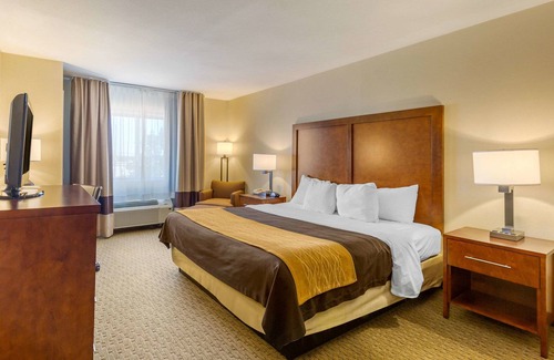 Frederick Hotel | Comfort Inn Red Horse Frederick