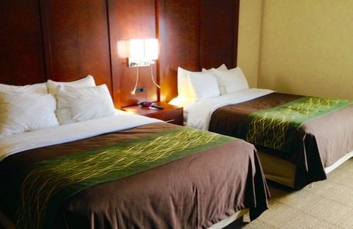 East Haven  Rutland County Hotel | Comfort Inn Rutland - Killington