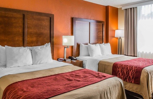 Lakeland Hotel | Comfort Inn & Suites Lakeland North I-4