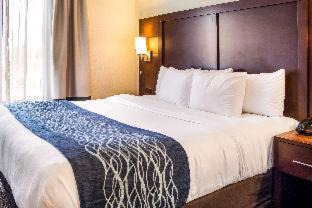 Niagara Falls Hotel | Comfort Inn & Suites Niagara Falls Blvd USA