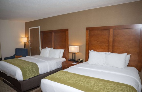 Erie Hotel | Comfort Inn & Suites