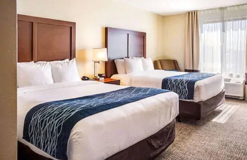 Niagara Falls Hotel | Comfort Inn & Suites Niagara Falls Blvd USA