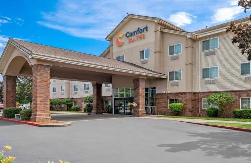 Albany Hotel | Comfort Suites Linn County Fairground and Expo