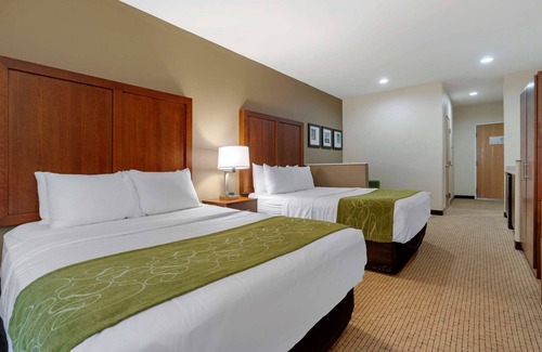 Linda Hotel | Comfort Suites Marysville - Yuba City