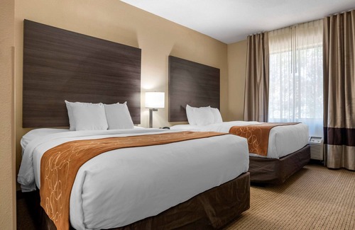 Tillmans Corner Hotel | Comfort Suites Mobile