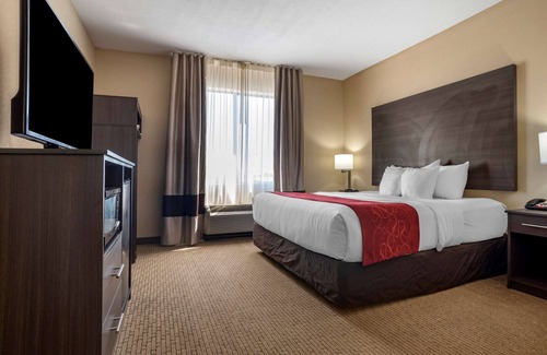 Tillmans Corner Hotel | Comfort Suites Mobile
