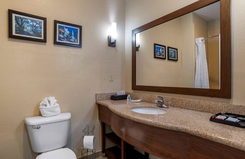 Tillmans Corner Hotel | Comfort Suites Mobile
