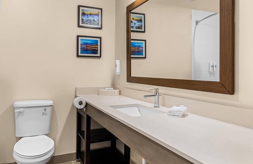 Jacksonville Hotel | Comfort Suites near Camp Lejeune